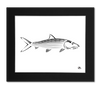 Bonefish Art Print