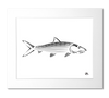 Bonefish Art Print