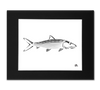 Bonefish Art Print