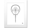 Horseshoe Crab Art Print
