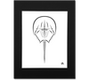 Horseshoe Crab Art Print