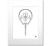 Horseshoe Crab Art Print