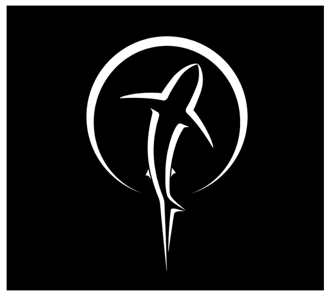Shark Car Decal - Unique White Vinyl Decal For Window