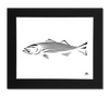 Striped Bass Art Print