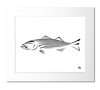 Striped Bass Art Print