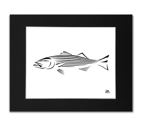 Striped Bass Art Print