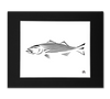 Striped Bass Art Print