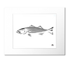 Striped Bass Art Print