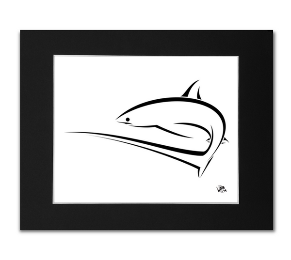 thresher-shark-8x10-