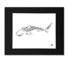 Tiger Shark Art Print