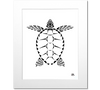 Sea Turtle Art Print