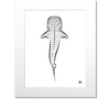 Whale Shark Art Print