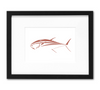 Bluefin Tuna Mini Art Print | 5x7 Inch Nantucket Red Tuna Design