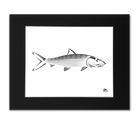 Bonefish Art Print