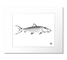 Bonefish Art Print