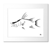 Hogfish Art Print