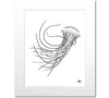 Jellyfish Art Print