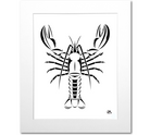 Maine Lobster Art Print - White Mat 16x20 Print