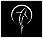 Shark Car Decal - Unique White Vinyl Decal For Window