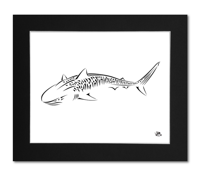 Tiger Shark Art Print Black And White Tiger Shark Wall Art Shark Zen