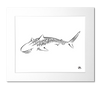 Tiger Shark Art Print