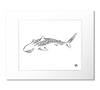 Tiger Shark Art Print