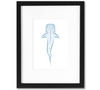 Whale Shark Mini Art Print | 5x7 Inch Blue Whale Shark Artwork
