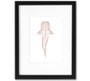 Whale Shark Mini Art Print | 5x7 Inch Nantucket Red Whale Shark Artwork